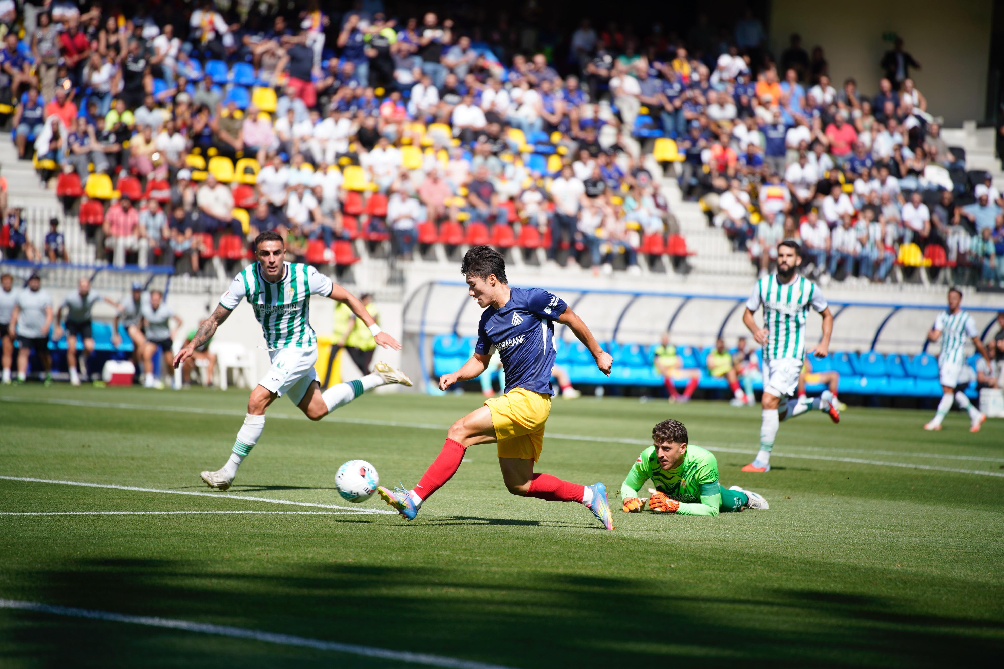 /tmp/177239_WhatsApp Image 2025-09-14 at 15.42.31.jpeg